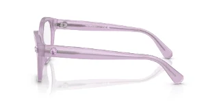 Swarovski Eyeglasses SK2038