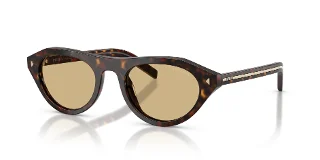 17N70R Root Tortoise