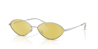 003/6D Silver