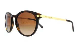 310613 Dark Tortoise