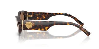 Dolce & Gabbana Sunglasses DG4537