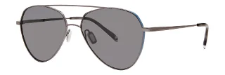 Gunmetal (Polarized)