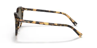 Coach Sunglasses HC8339U