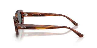Ray Ban Sunglasses RB2221