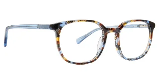 Tortoise/Blue