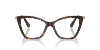 Swarovski Eyeglasses SK2051