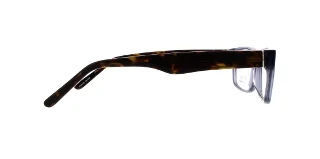 Serafina Eyewear Eyeglasses Champ