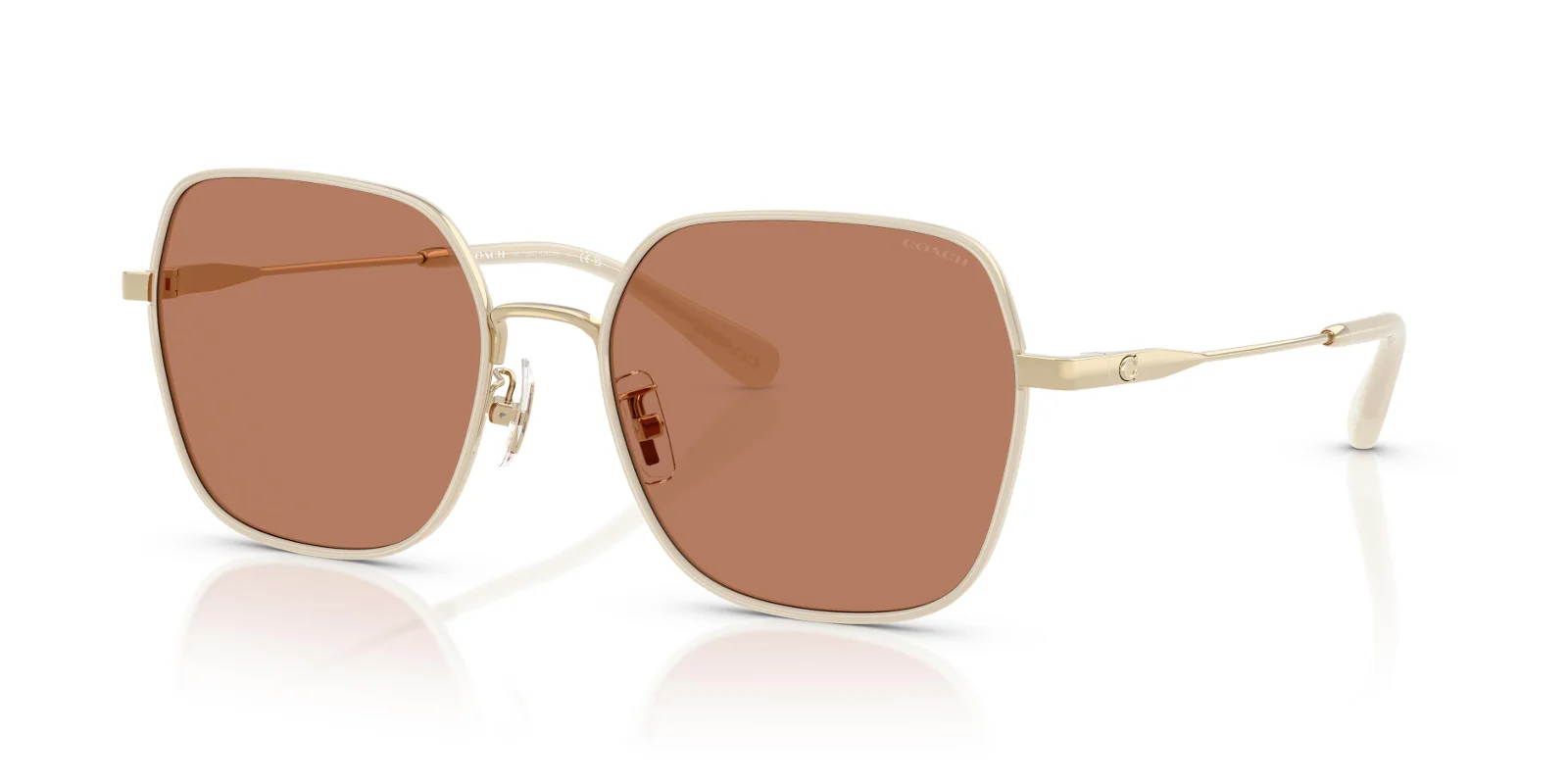 Coach Sunglasses HC7180D