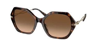 512074 Dark Tortoise