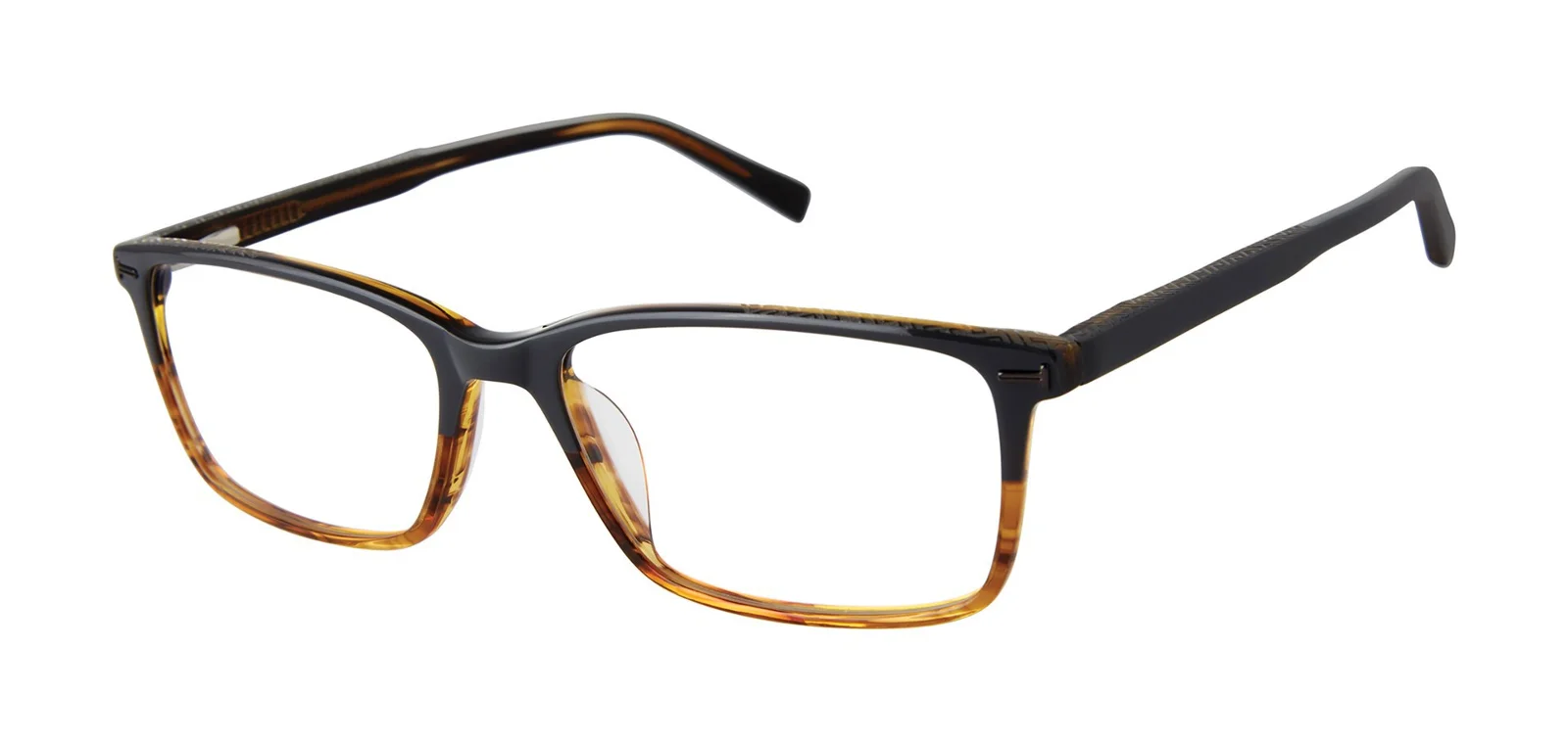 Ted Baker Eyeglasses TFM013