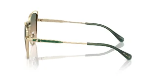 Coach Sunglasses HC7162