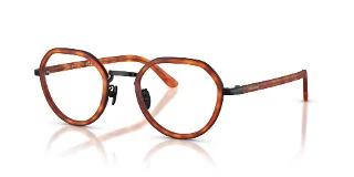 6404 Brown Turtle