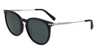 Longchamp Sunglasses LO646S