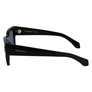 Salvatore Ferragamo Sunglasses SF2010S