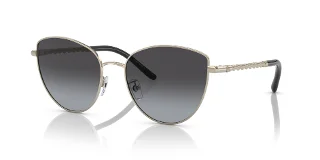 Tory Burch Sunglasses TY6091