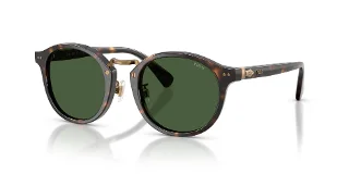 500371 Shiny Dark Havana
