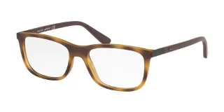 Polo Eyeglasses PH2210