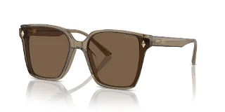 Jimmy Choo Sunglasses JC5016D