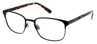 Steve Madden Eyeglasses MAHHI