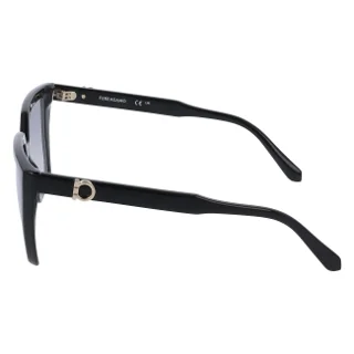 Salvatore Ferragamo Sunglasses SF2058SE