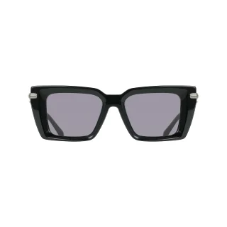 Salvatore Ferragamo Sunglasses SF2089S