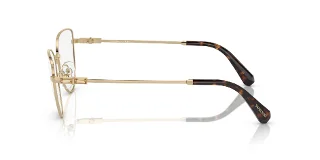 Swarovski Eyeglasses SK1007