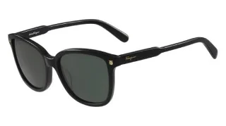 Salvatore Ferragamo Sunglasses SF815S