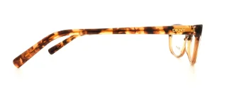 Dkny Eyeglasses DY4629