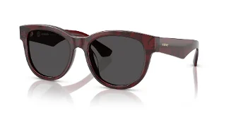 411587 Check Red