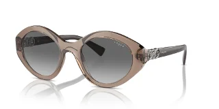 294011 Transparent Brown