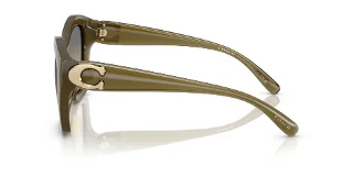 Coach Sunglasses HC8421U