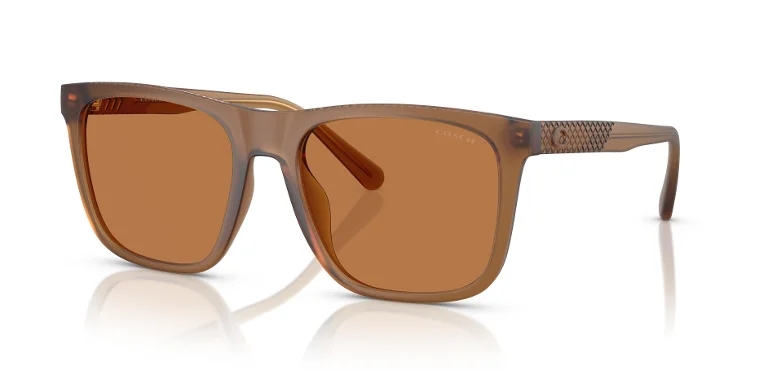 Coach Sunglasses HC8427U