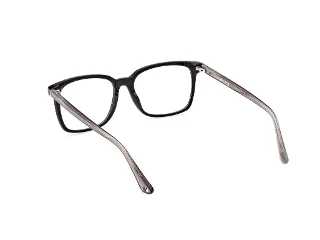 Web Eyeglasses WE5401