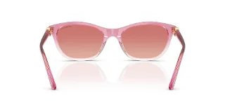 Swarovski Sunglasses SK6070F