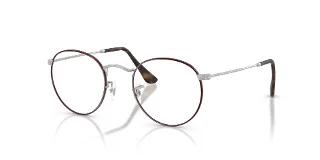 3194 Matte Havana On Matte Silver