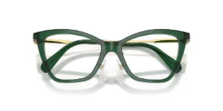 Swarovski Eyeglasses SK2051F