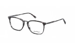 Salvatore Ferragamo Eyeglasses SF2822