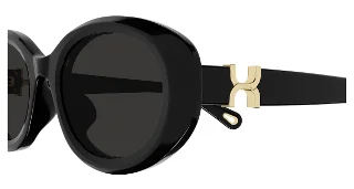 Chloe Sunglasses CH0323SK