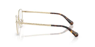 Swarovski Eyeglasses SK1029D