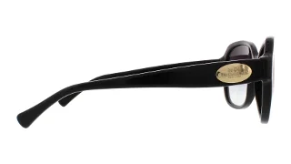 Coach Sunglasses HC8150