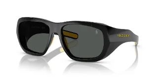 Polo Sunglasses PH4219U