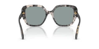 Dolce & Gabbana Sunglasses DG4569