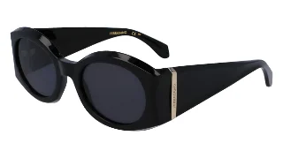 Salvatore Ferragamo Sunglasses SF2008S
