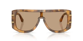 Dolce & Gabbana Sunglasses DG4565