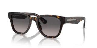 19J09G Tortoise