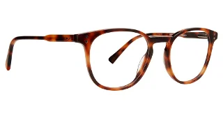 Tortoise