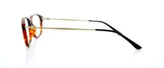Giorgio Armani Eyeglasses AR7007