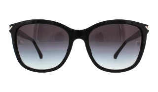 Emporio Armani Sunglasses EA4060F