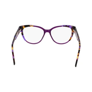 Dkny Eyeglasses DK5073