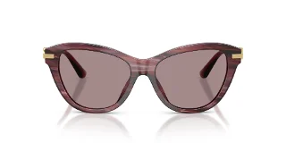 Dolce & Gabbana Sunglasses DG4534